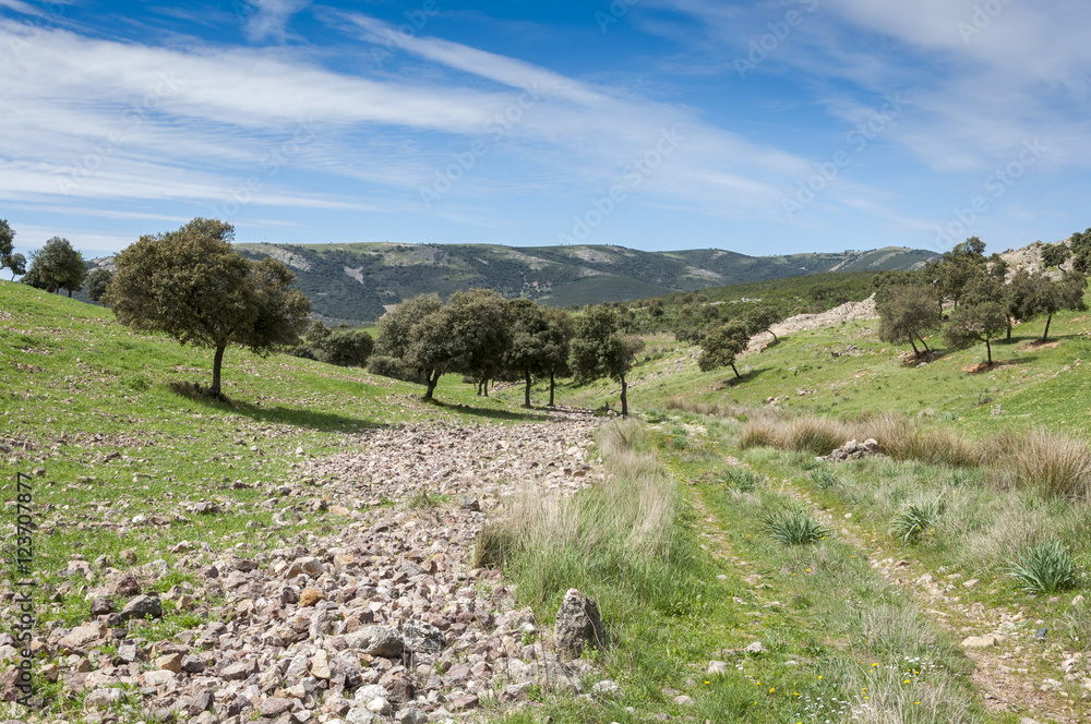Obraz premium Dirt road in Toledo Mountains, Ciudad Real Province, Spain