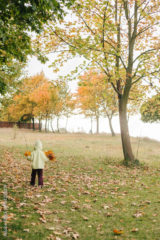 Little girl in the autumn park.with a bouquet of leaves.castle. Little girl in the autumn park.with a bouquet of leaves.castle.