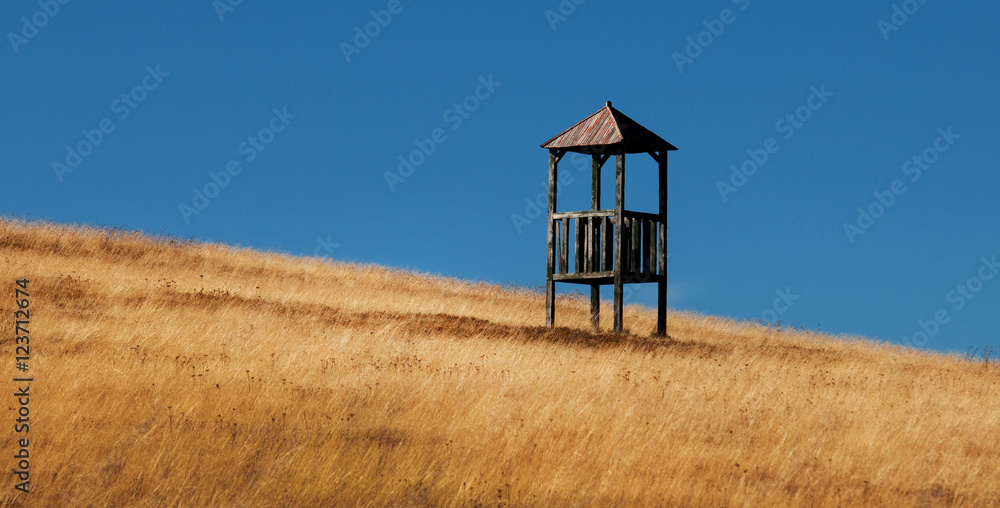 Beautiful landscape covered with golden summer grass. Beautiful landscape covered with golden summer grass.