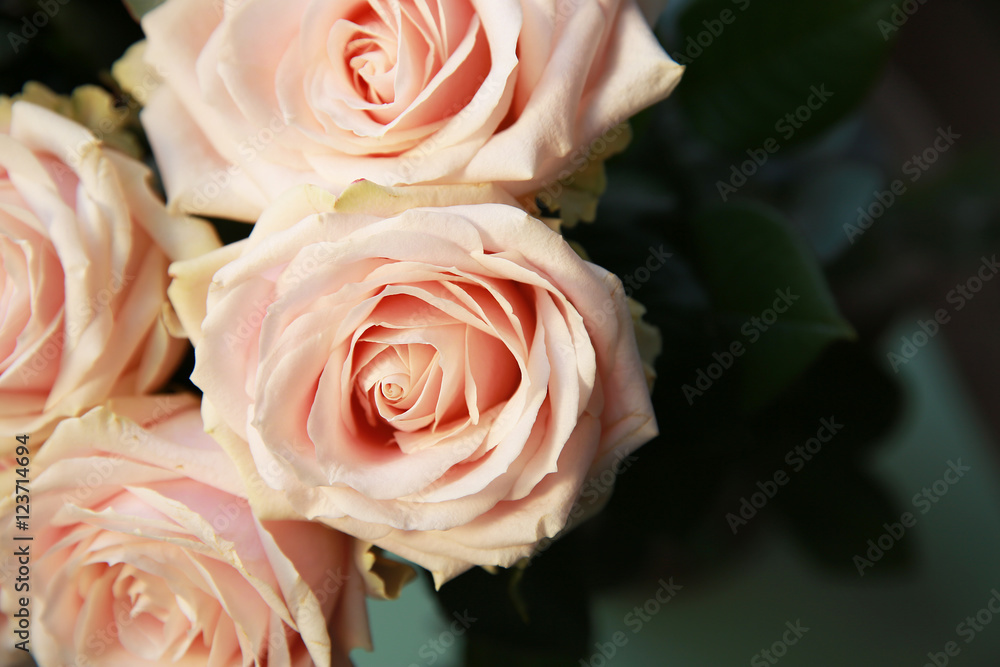 Obraz premium Pink Roses Bouquet