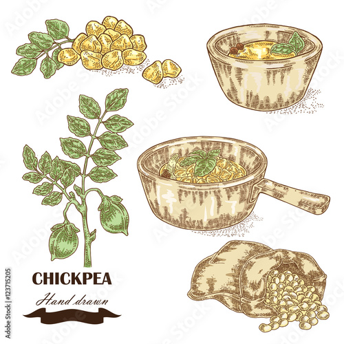 Hand drawn chickpea plant. Seeds, chickpea soup, sauce and sack