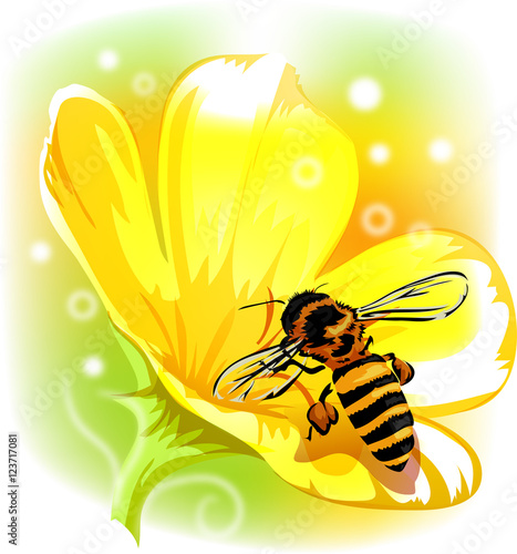 Honeybee Flower Pollination