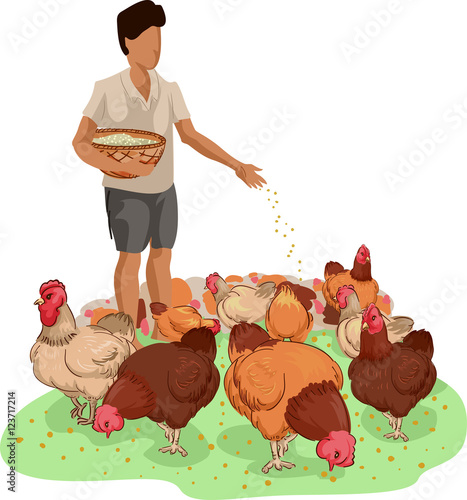 Farm Boy Chicken Feed