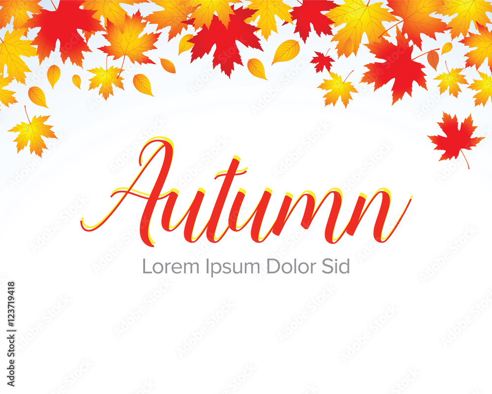 Vector background with red, orange, brown and yellow falling autumn leaves. Isolated vector illustration.