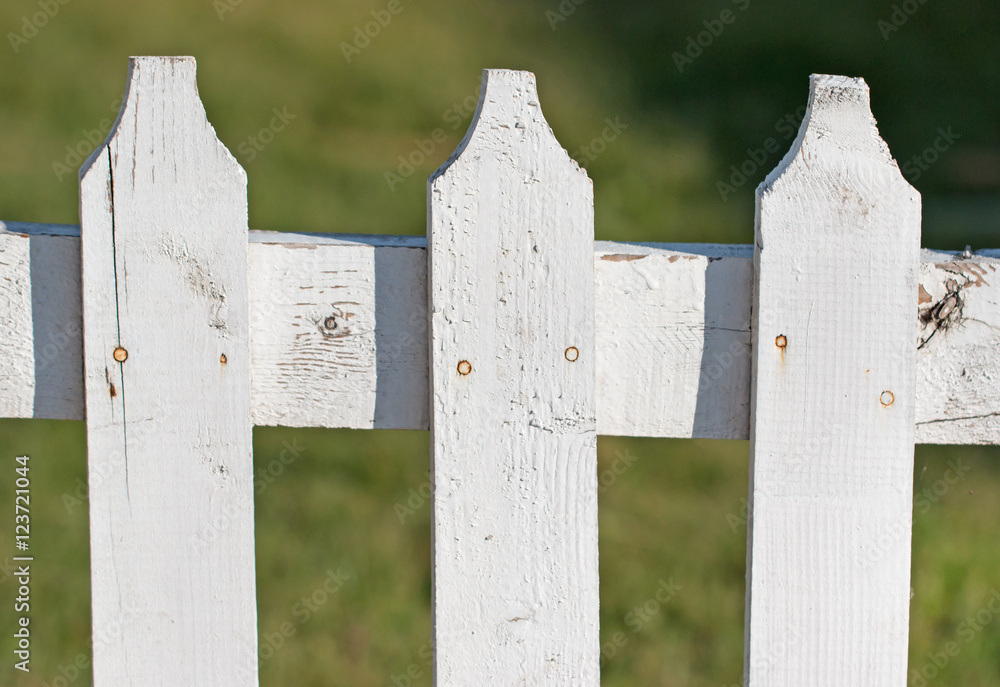 White wooden fence as a backdrop