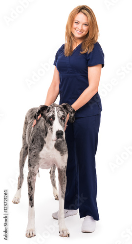 Veterinarian doctor nurse with great dane dog isolated on white background