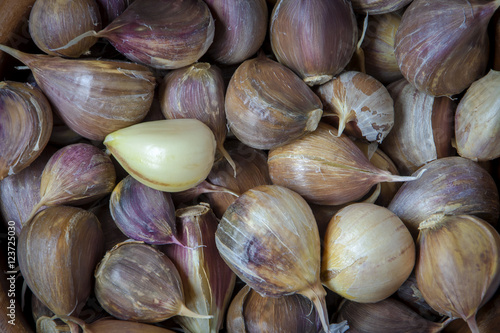 Cloves of fresh garlic