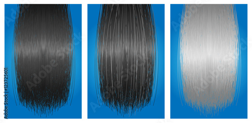 black hair turn to grey hair vector