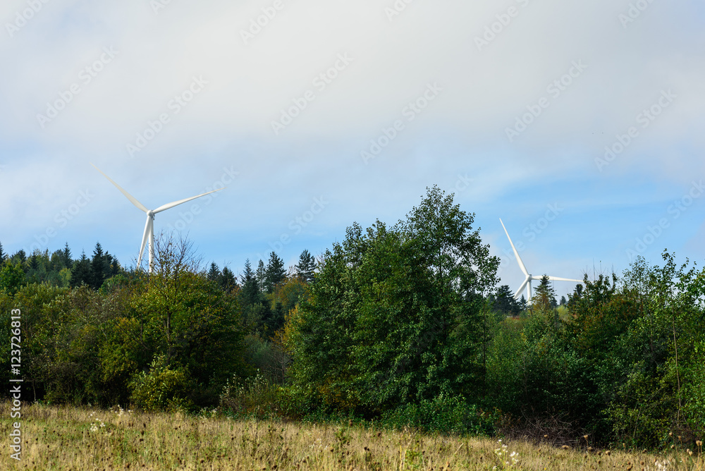 Fototapeta premium Wind turbine renewable energy source.
