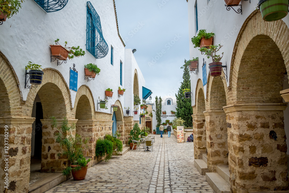 Lovely little street in Hammamet Tunisia - obrazy, fototapety, plakaty 