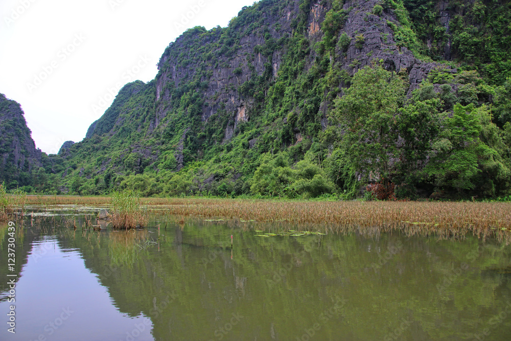 tam coc