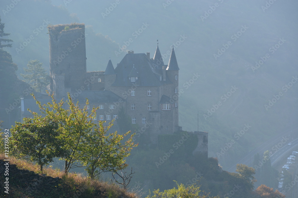 Castle in rhine valley