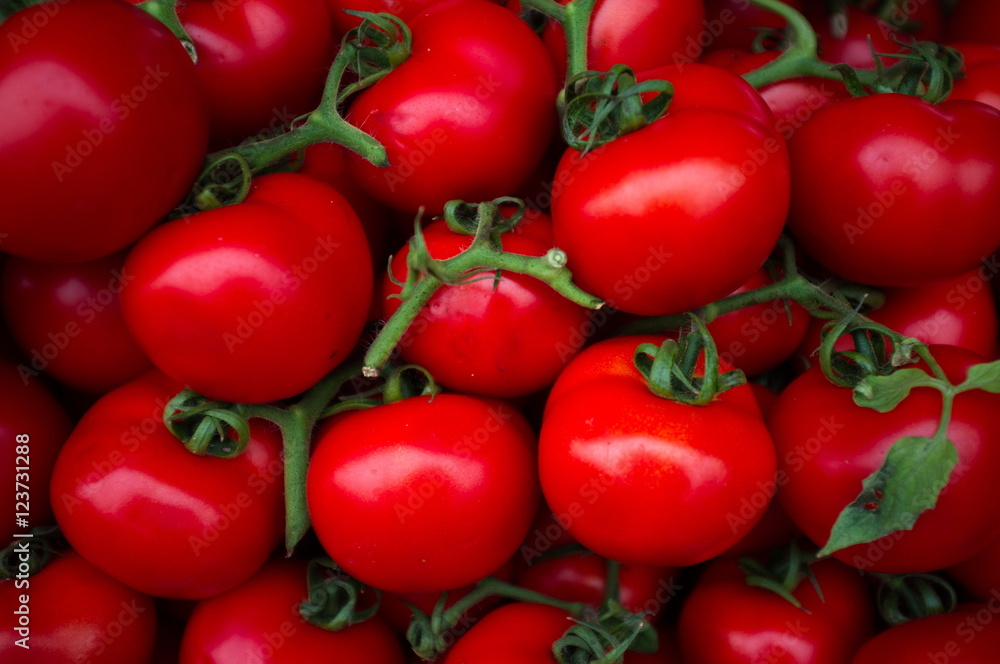 Pomodori rossi maturi