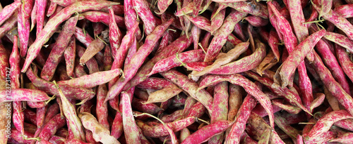 fagioli borlotti con guscio su banco--borlotti beans with shell on bench
