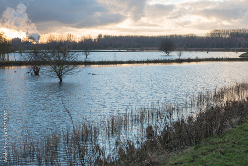 Lake with bare trees at sunset in winter