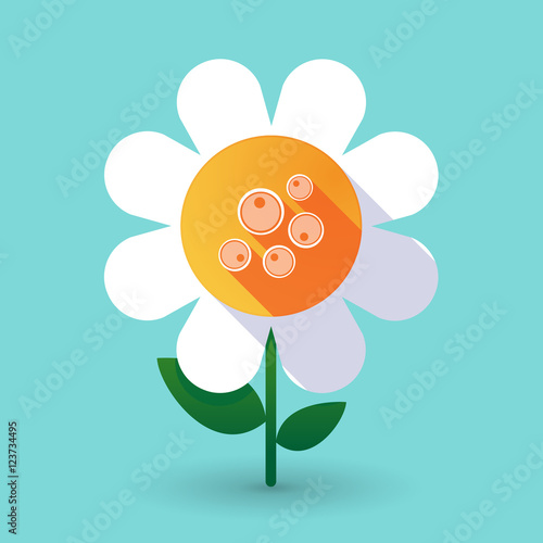 Long shadow daisy flower with oocytes