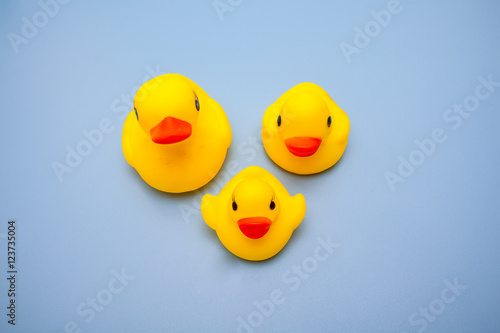 yellow duck family toy for kids play on blue background