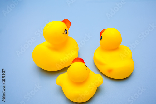 yellow duck family toy for kids play on blue background photo