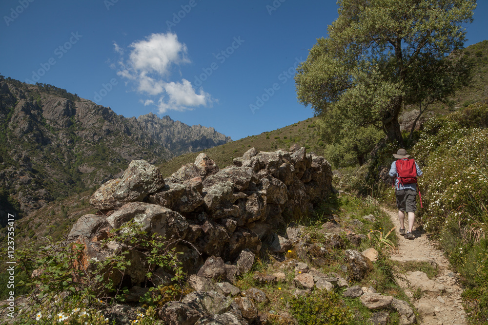 Hiking in Corsica
