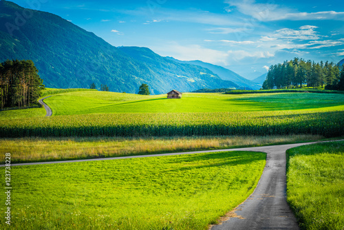 Fietch fields on Sonnenplateau, Austria © Anibal Trejo