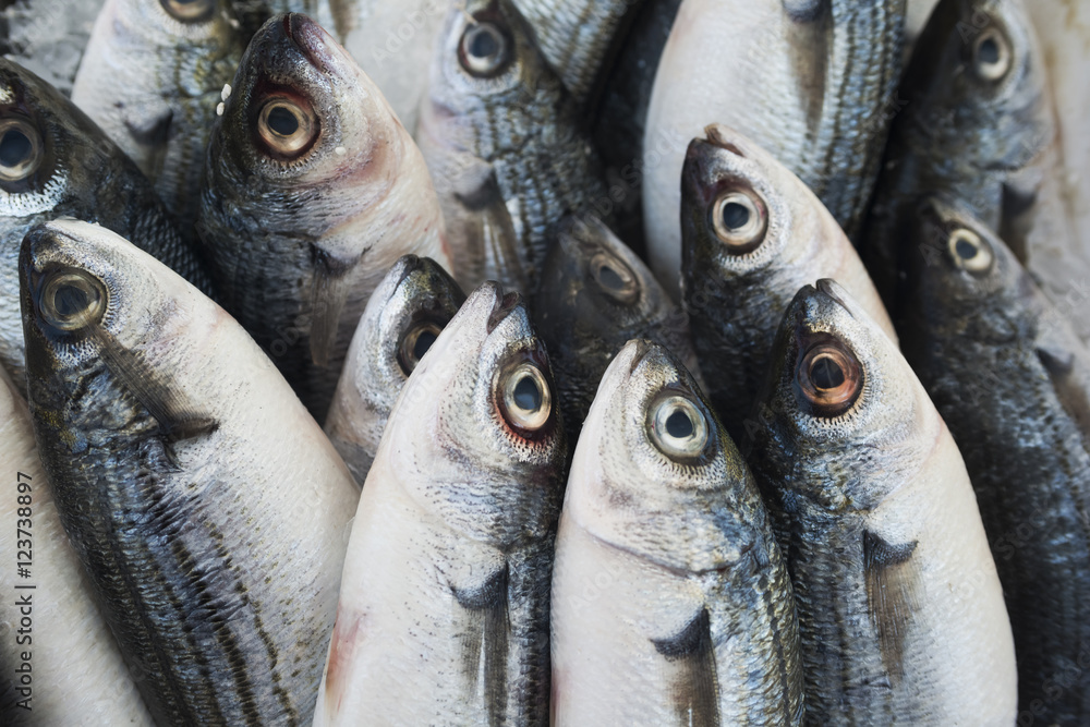 Obraz premium Various fresh fish and seafood at the fish market in in Goynuk, Turkey