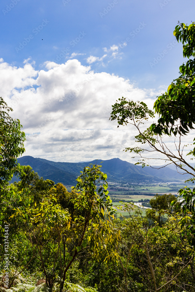 Fototapeta premium View from Mount Whitfield in Cairns, Australia