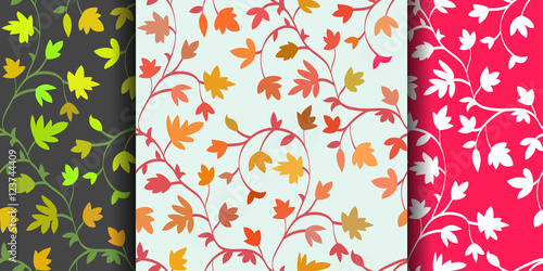 Set: 3 Seamless floral pattern with branches and leaves, abstract texture, endless background. Vector illustration