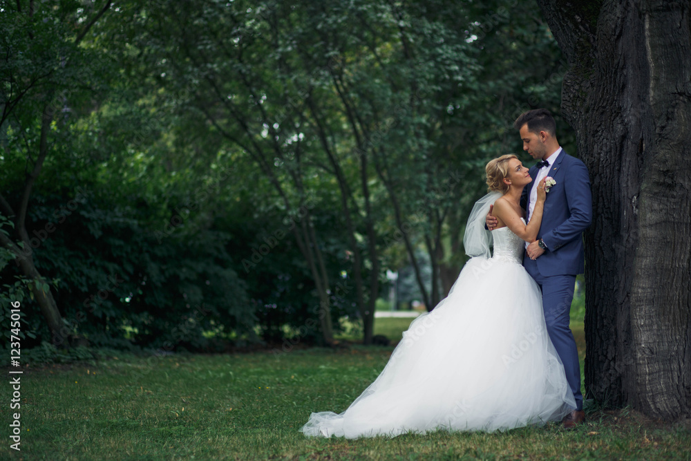 married couple spend wonderful time in the garden married couple spend wonderful time in the garden