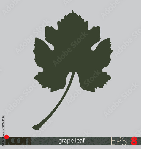 Grape leaf icon or logo; vector design on isolated background.