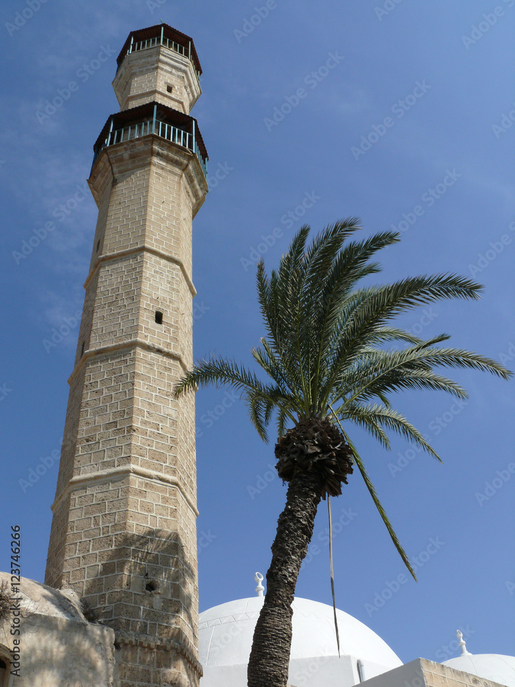 An upwards perspective view of a octagonal tower and a palm tree