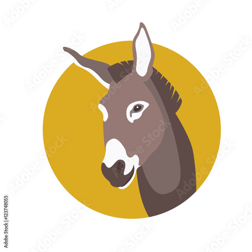 donkey head face vector illustration style Flat