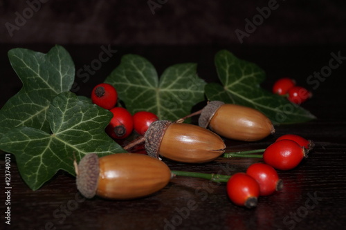 Fototapeta Naklejka Na Ścianę i Meble -  Autumn colors -  eglantine, acorn  and colorful leaves