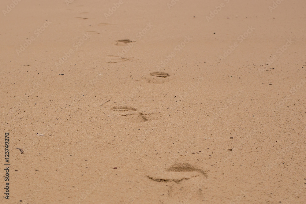Two well-shaped human footprints in the sand Two well-shaped human footprints in the sand