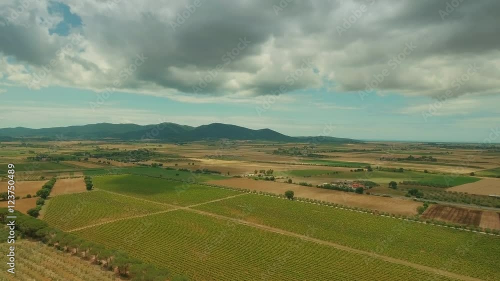Aerial Shot of Impressive Large Agricultural Fields in Southern Europe Aerial Shot of Impressive Large Agricultural Fields in Southern Europe