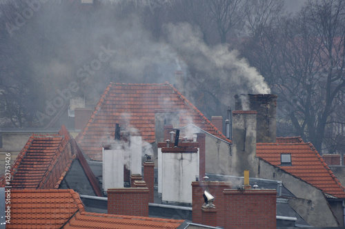 Dachy i dymy w zimny dzień