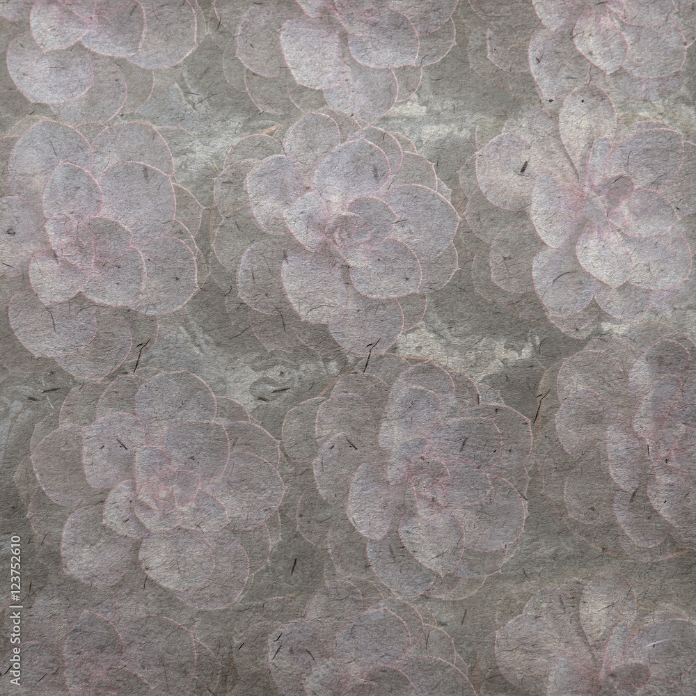 Fototapeta premium succulent
