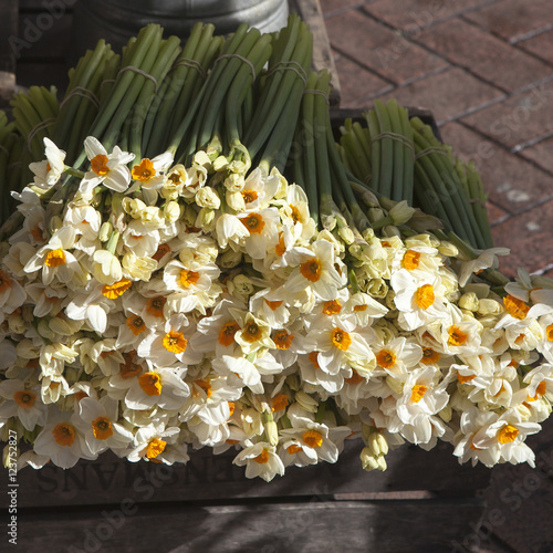 yellow flowers. Flower`s shop. Daffodil. Spring time photo