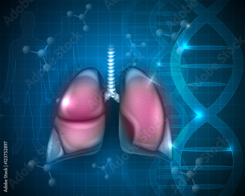 Lungs, respiratory organs detailed anatomy illustration on a blue scientific DNA background