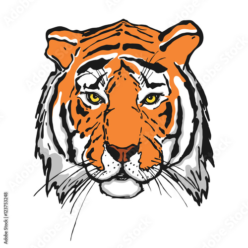Tiger color