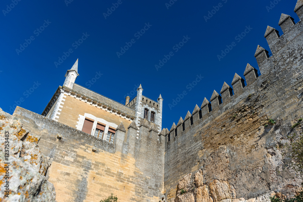 Almodovar del Rio Castle, Cordoba, Andalusia, Spain.