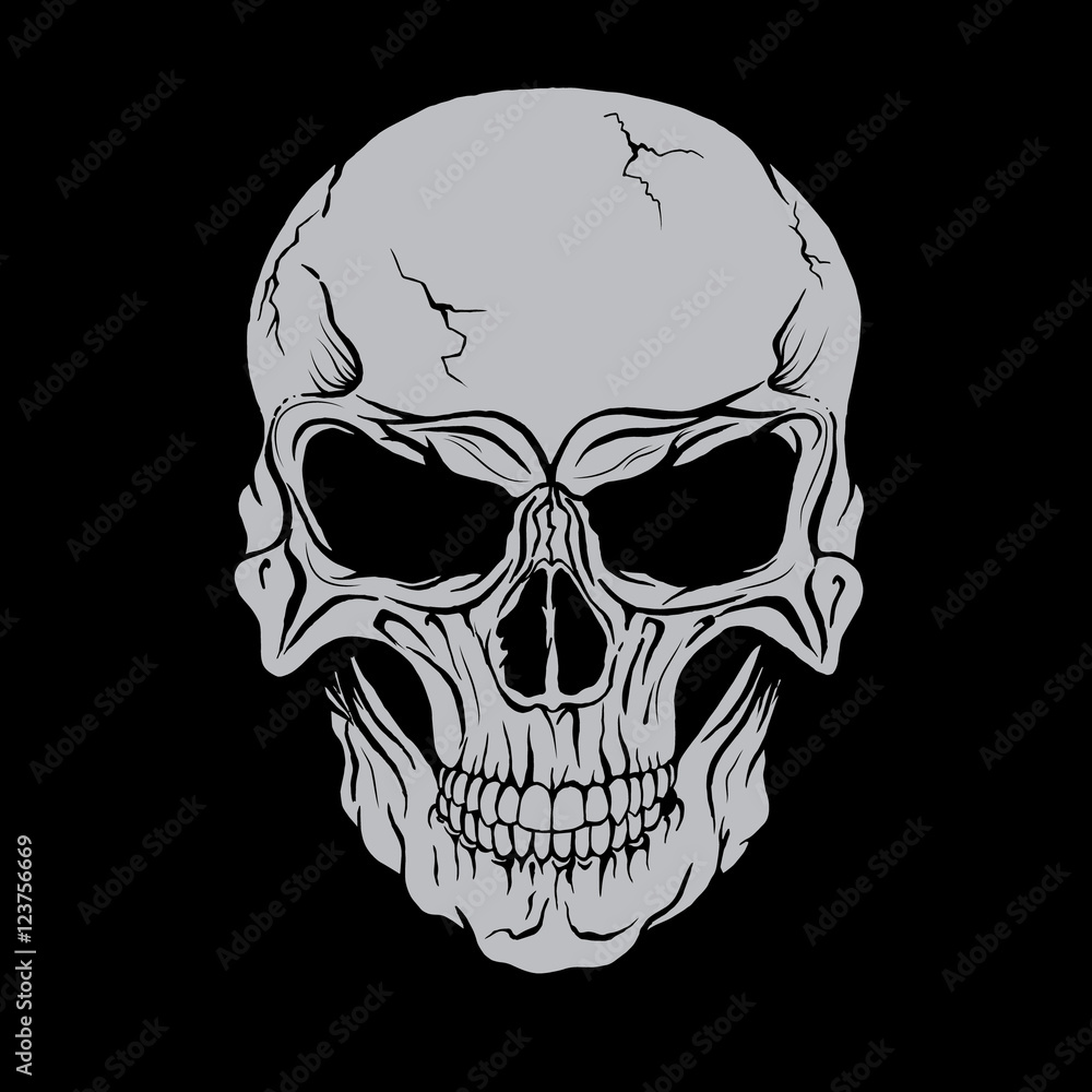 Fototapeta premium Głowa czaszki wektor.