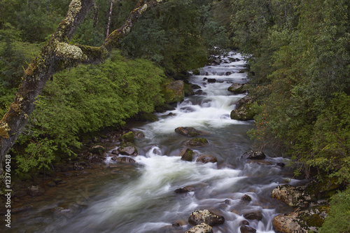 Fast flowing waters of the Rio Ventisquero as it passes through lush forest near the Carretera Austral in the Aysen Region of southern Chile.