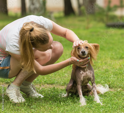 The girl inspects the dog breed Chinese crested