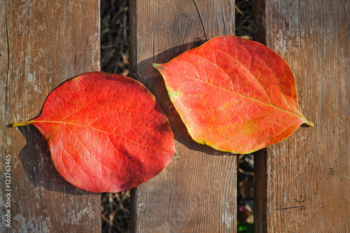 two red leaves on the old board background
