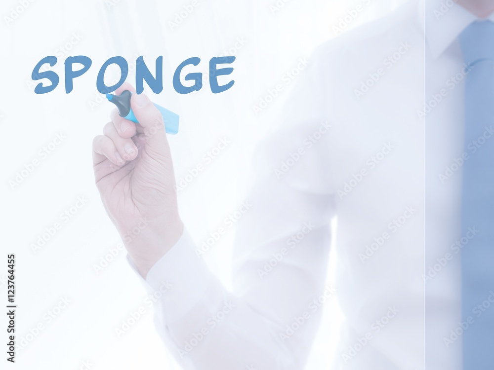 Sponge Sponge