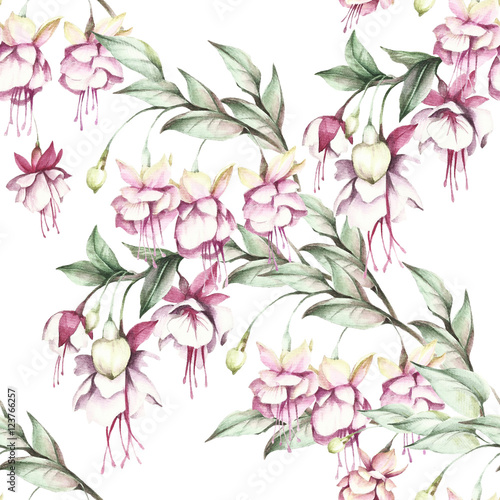 Seamless pattern with fuchsia. Hand draw watercolor illustration