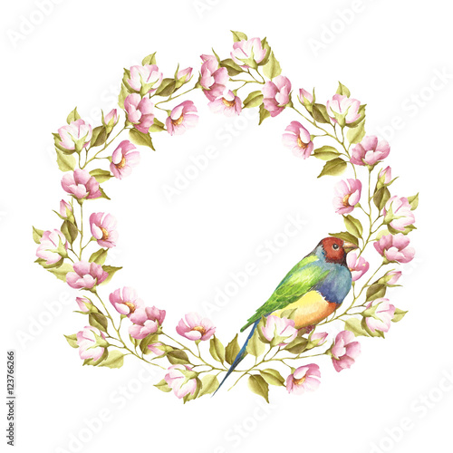 frame with a bird and a sprig.Gouldian Finch. Watercolor illustration.