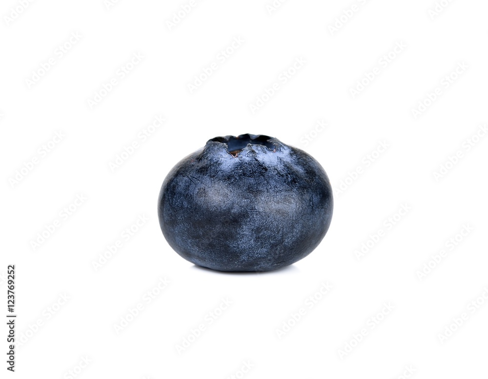 blueberry isolated on the white background blueberry isolated on the white background