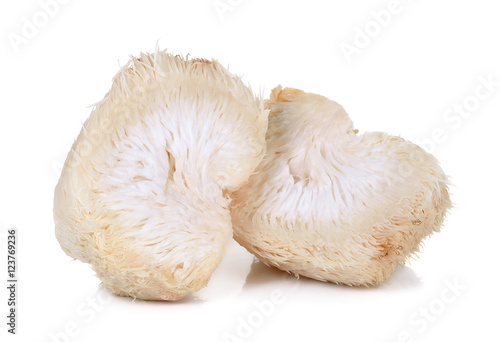 Lion mane mushroom isolated on white background