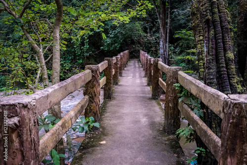 Concrete footbridge over the stream